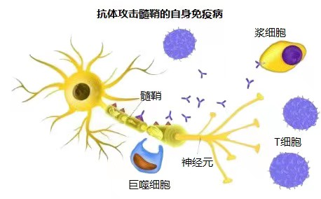 图片 3.png 图片 3.png