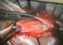 微信图片_202009031642075