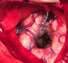 微信图片_202009031642063