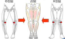 图片 3.png 图片 3.png