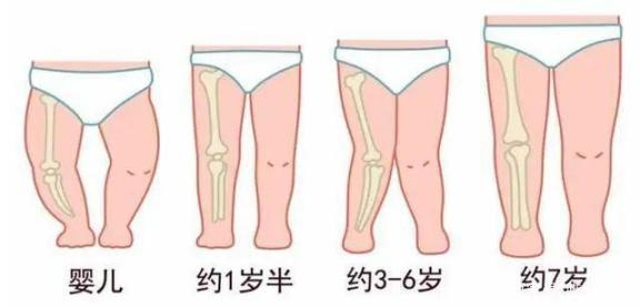 图片 1.png 图片 1.png