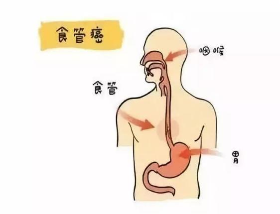 图片 2.png 图片 2.png