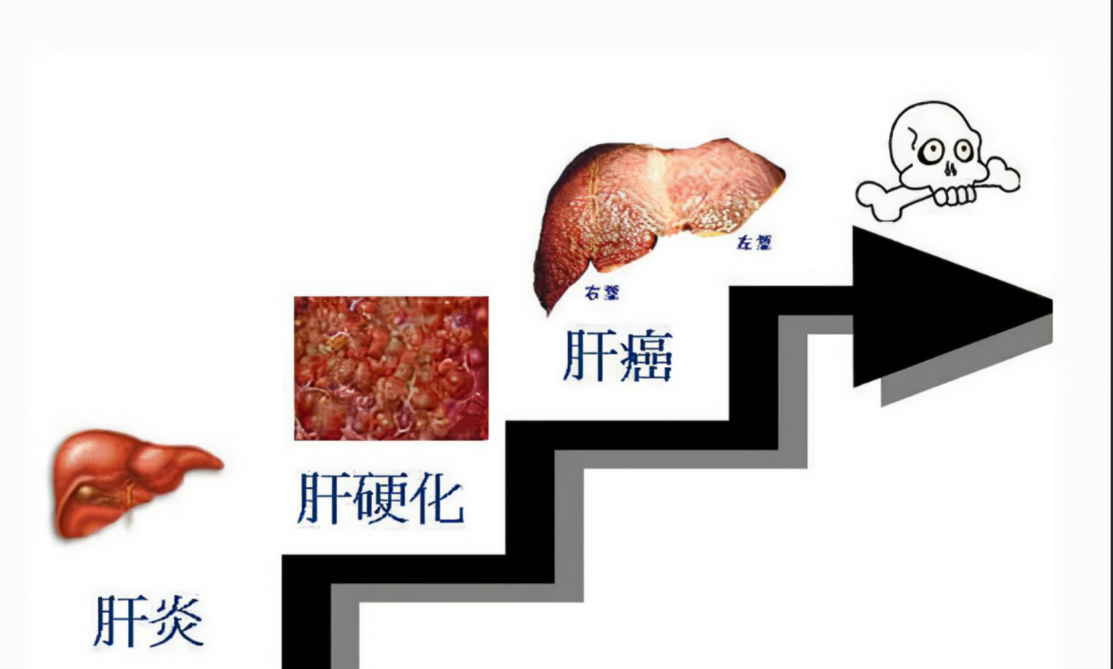 图片 1.png 图片 1.png