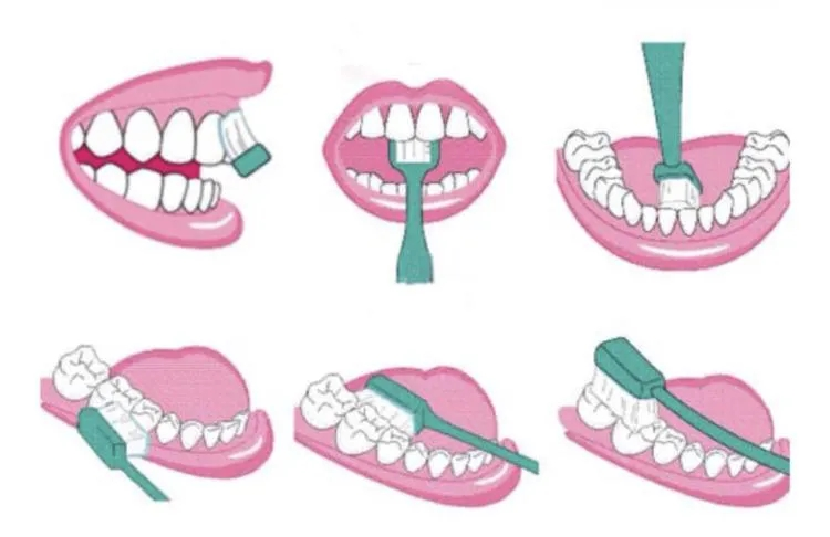 图片 4.png 图片 4.png