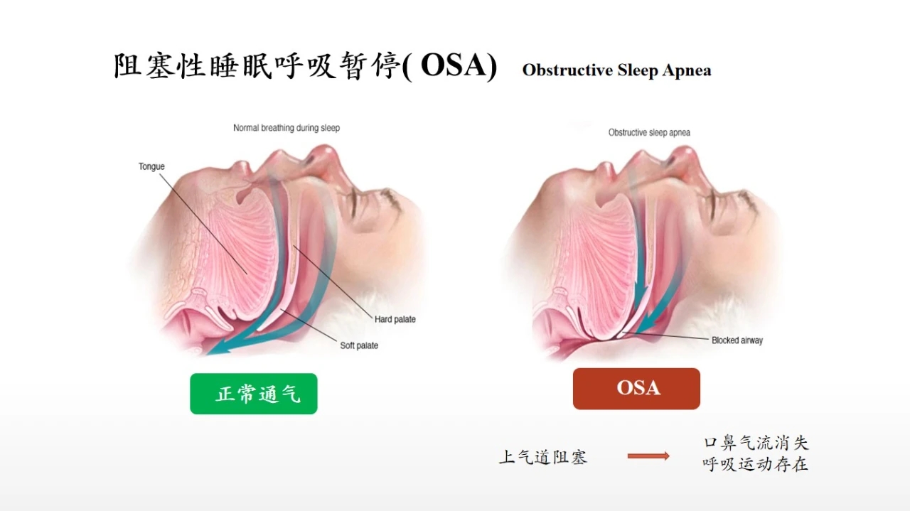 图示, 示意图&#10;&#10;中度可信度描述已自动生成