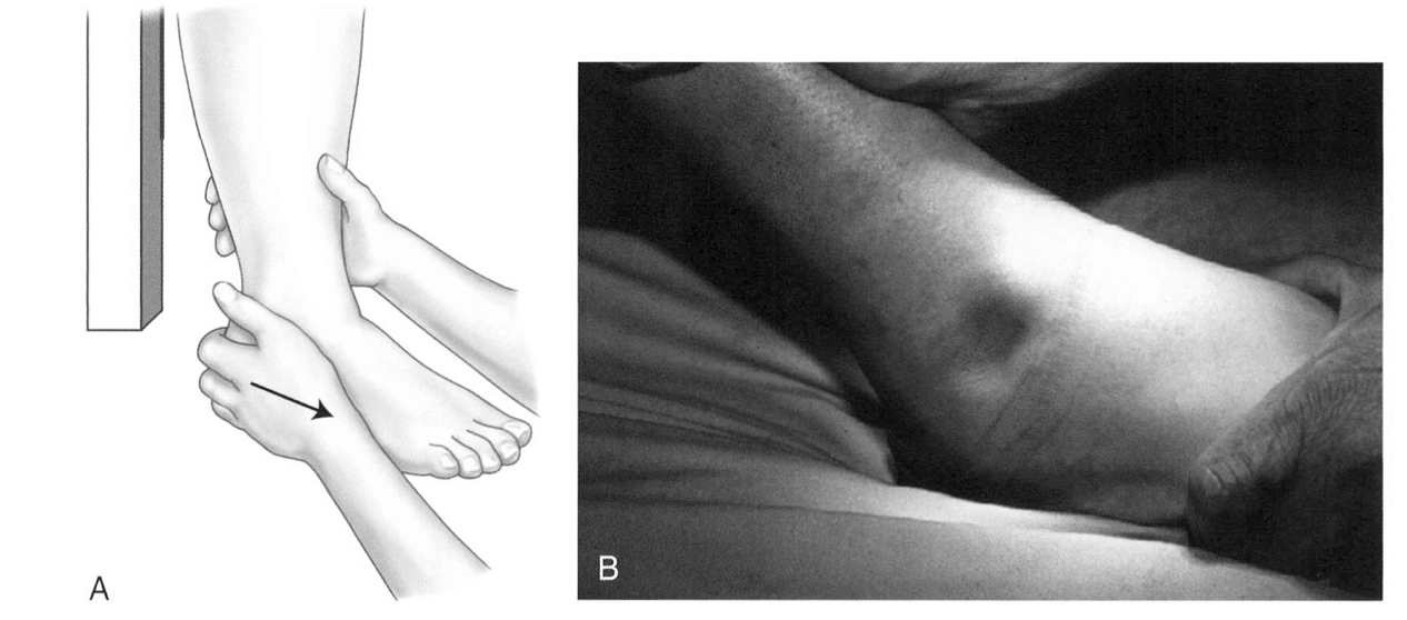 图片 4.png 图片 4.png