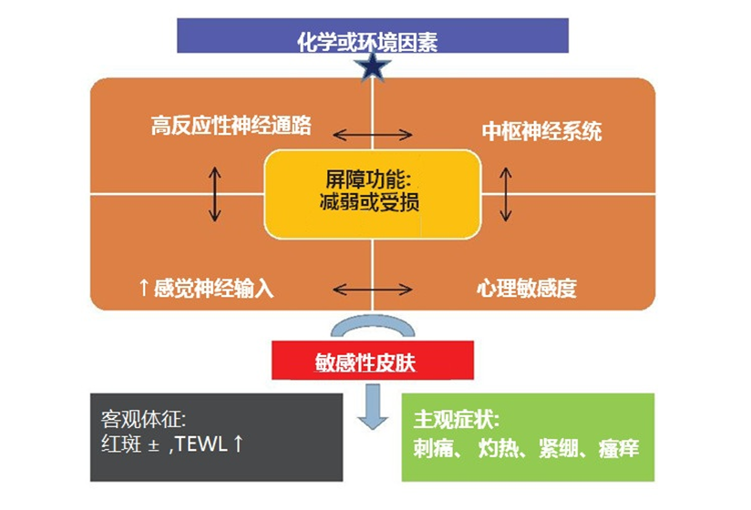 图片 2.png 图片 2.png