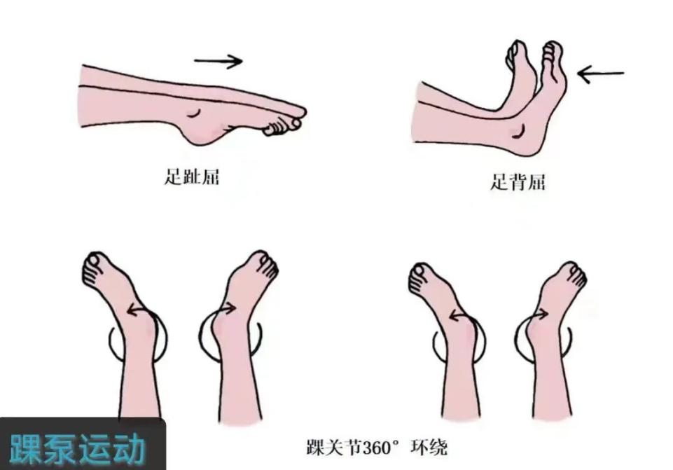 图片3.png 图片3.png