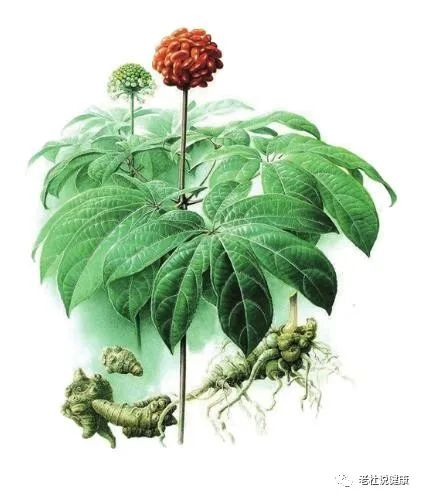 微信图片_20230509193042.jpg 微信图片_20230509193042.jpg