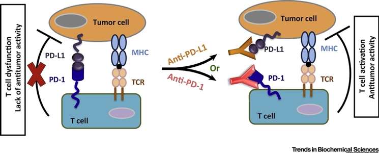 图片 4.png 图片 4.png