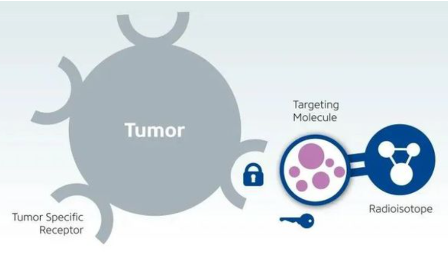 图片 7.png 图片 7.png