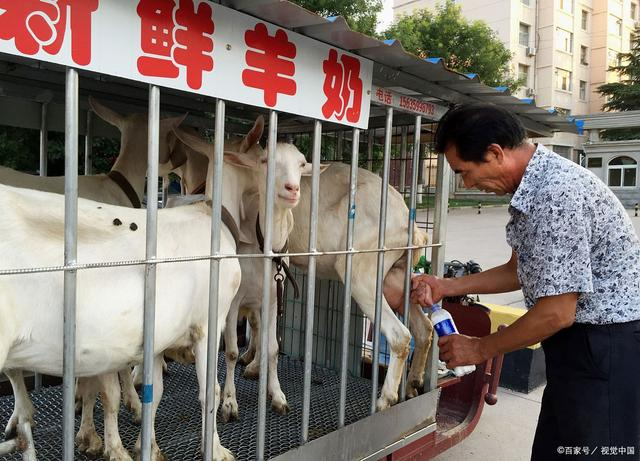 图片 12.png 图片 12.png