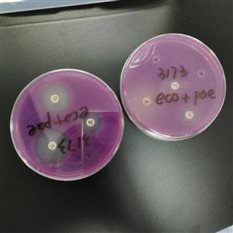 4334a7041b29b581098598bec730125 4334a7041b29b581098598bec730125