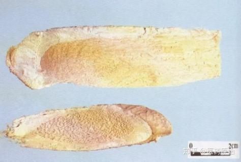 图片10.png 图片10.png