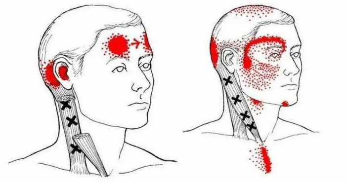 图片4.png 图片4.png