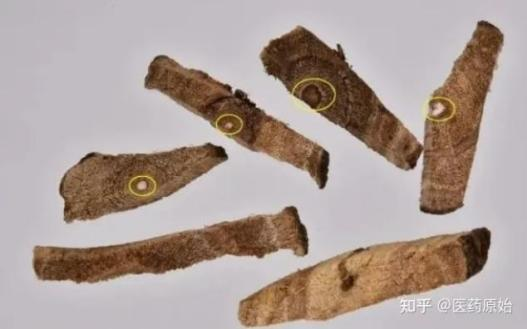 图片8.png 图片8.png