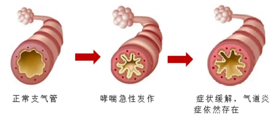 图片5.png 图片5.png