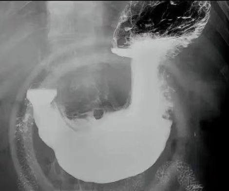 微信图片_20251011083806_2_2