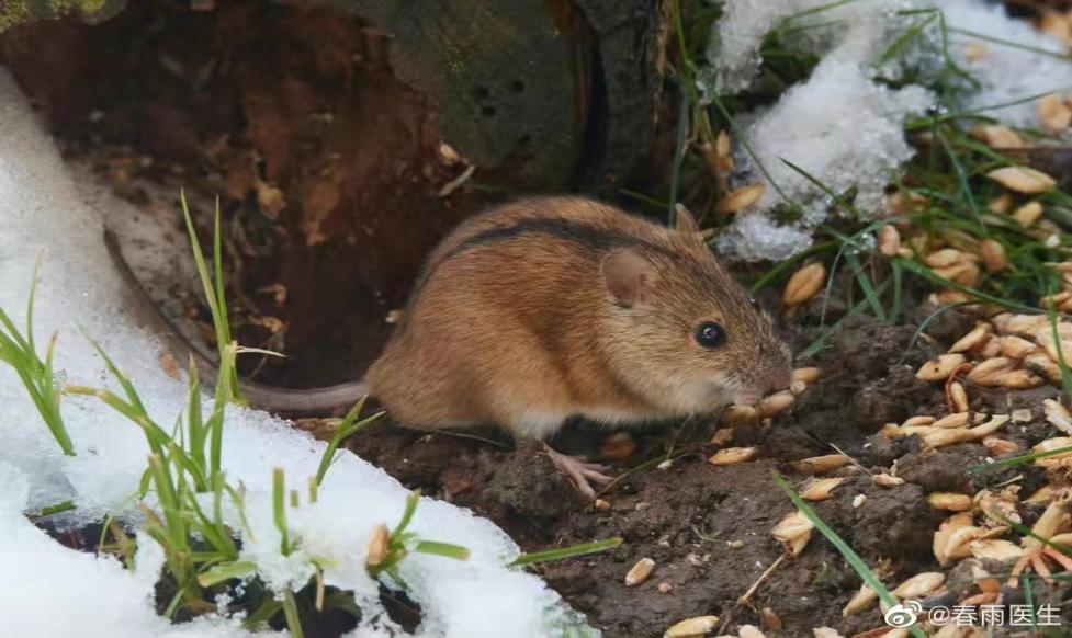 微信图片_20211222094443