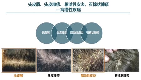 微信图片_20251127175345_238_2