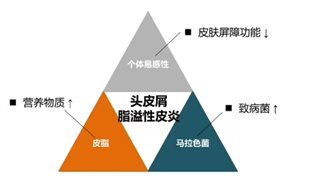 微信图片_20251127203508_241_2