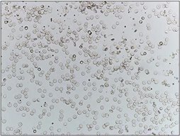 微信图片_20251107183944_2_18