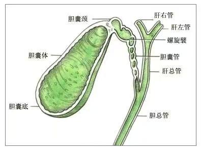 8c9bee6d3b1355cf06af37d7cae3d26