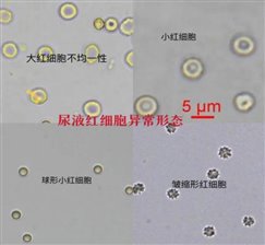 微信图片_20251107190337_1_2