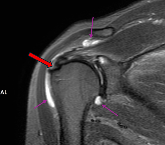 35503088-4e63-488e-a0c3-0a1b42e7e493