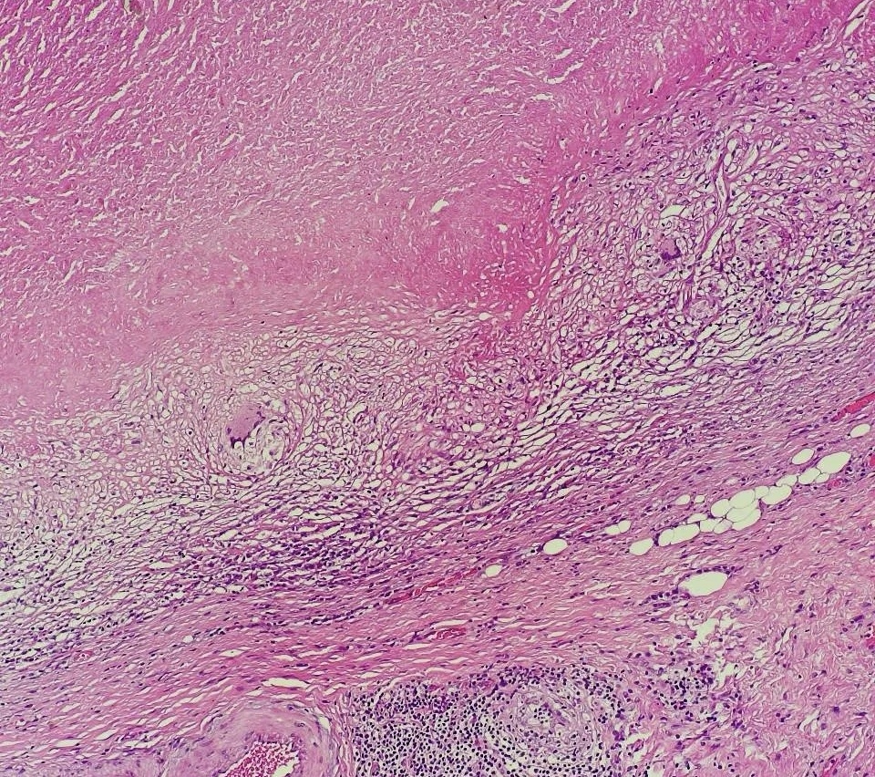 微信图片_20251206231437_62_2