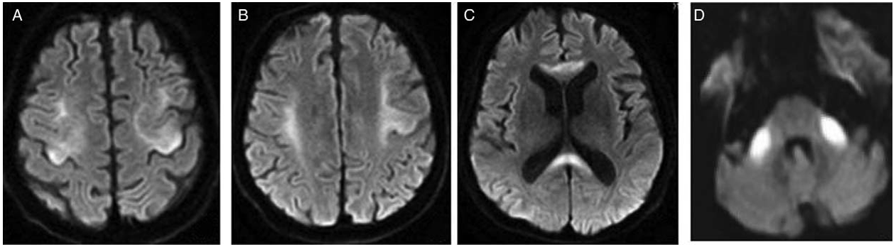 微信图片_2025-12-22_142522_229