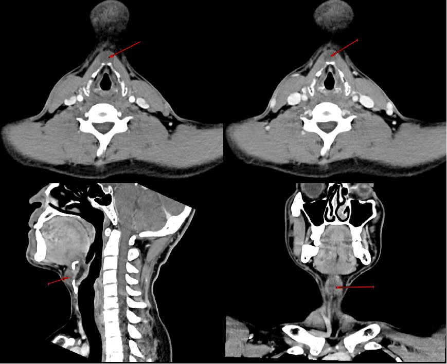 微信图片_2025-12-22_143300_627