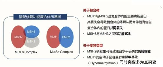 微信图片_20251205141440_45_2