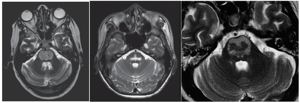 微信图片_2025-12-22_142618_799