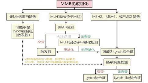 微信图片_20251205130708_33_2