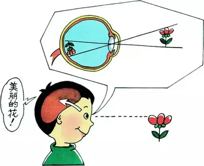 0b47426c919f13c4998a22e2e405ed5