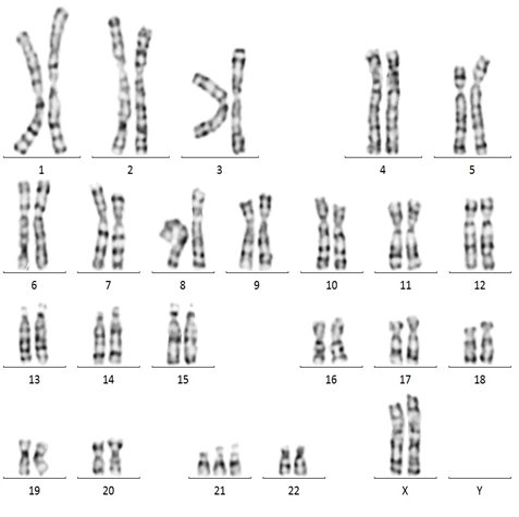 图示, 工程绘图

描述已自动生成