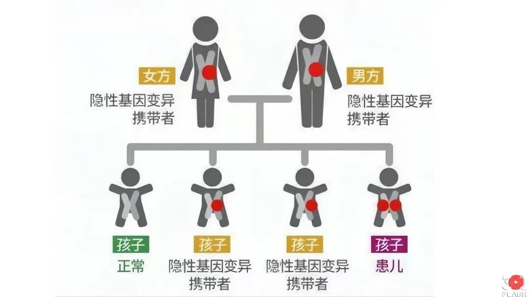 图片6.png 图片6.png