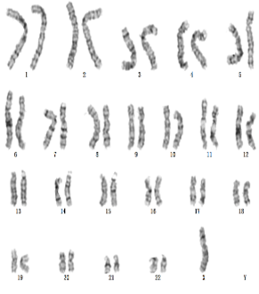 图片7.png 图片7.png