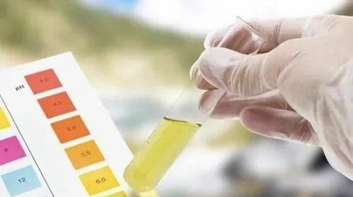 /private/var/mobile/Containers/Data/Application/4494A47D-7093-415A-A026-3639E797C8CB/tmp/insert_image_tmp_dir/2025-04-18 09:28:49.042000.png2025-04-18 09:28:49.042000