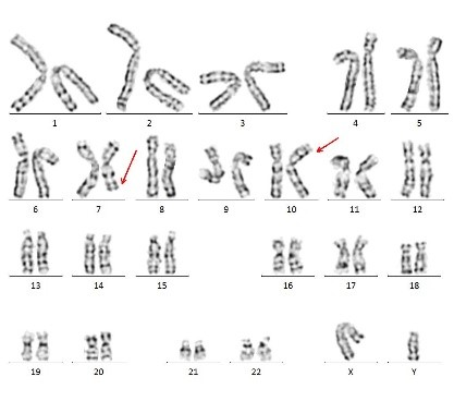 图片11.jpg 图片11.jpg