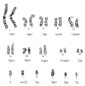 图片5.png 图片5.png