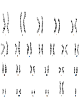 图片8.png 图片8.png