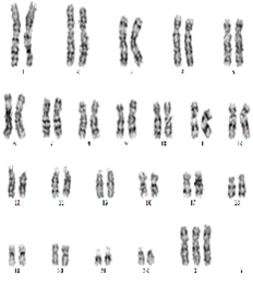 图片9.png 图片9.png