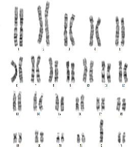 图片10.png 图片10.png