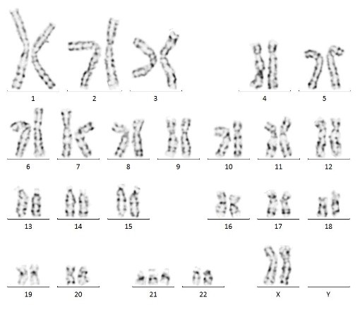 图片6.jpg 图片6.jpg