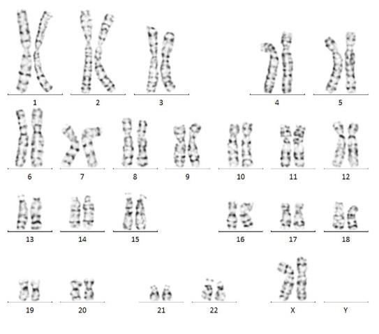 图片4.jpg 图片4.jpg