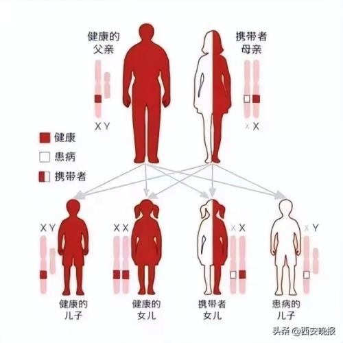 「科普」了解血友病，关爱”玻璃人”